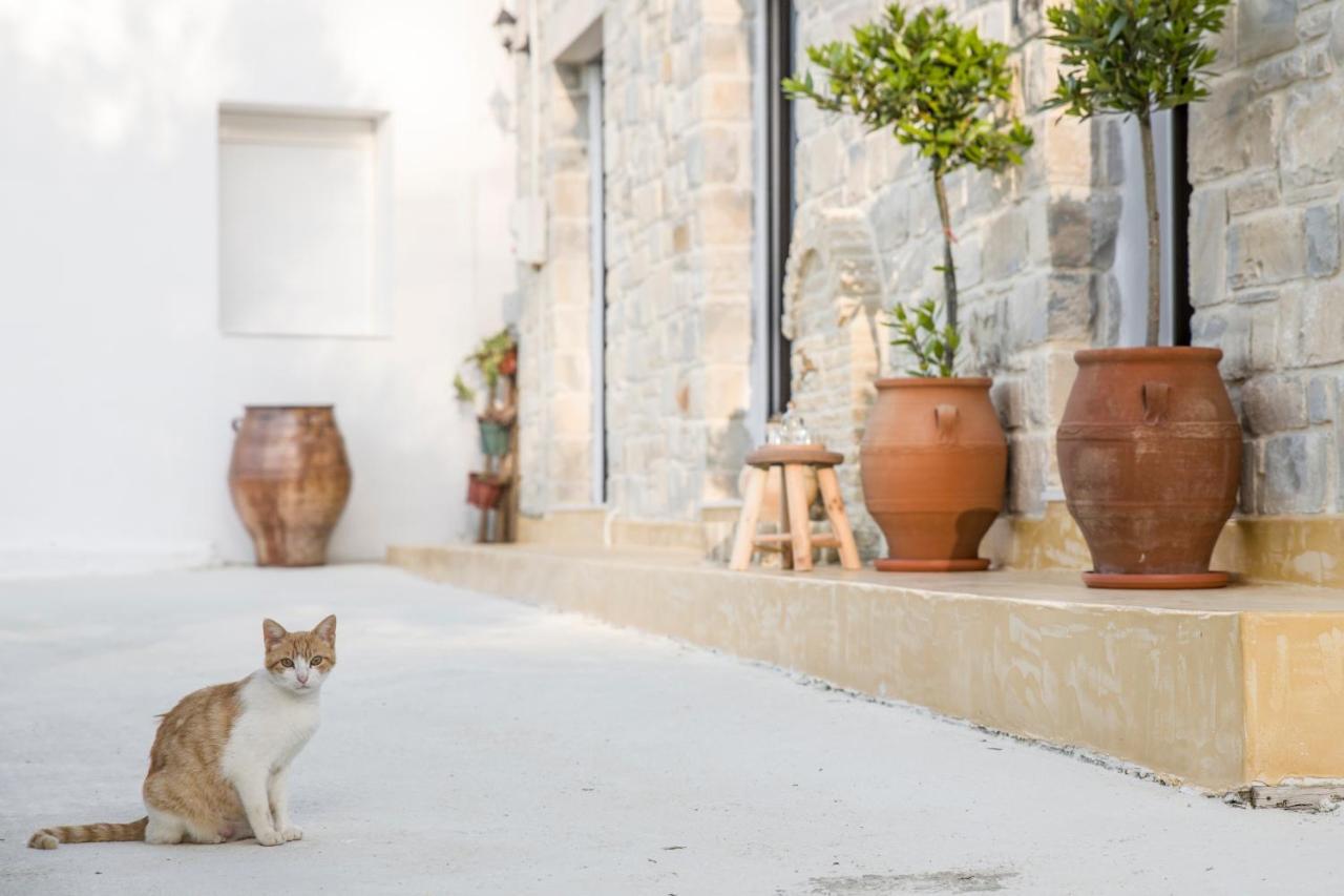 Villa Mira Kamilari Bagian luar foto